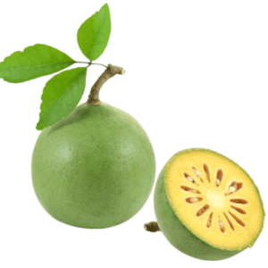 Belgiri Bael Fruit
