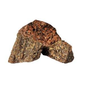 Gond Chohara (Gum of Dates Tree)