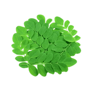 Moringa Leaves
