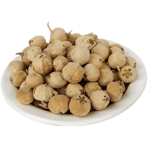 Paneer Dodi (Indian Rennet)