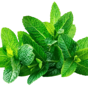 Podinah (Mint)
