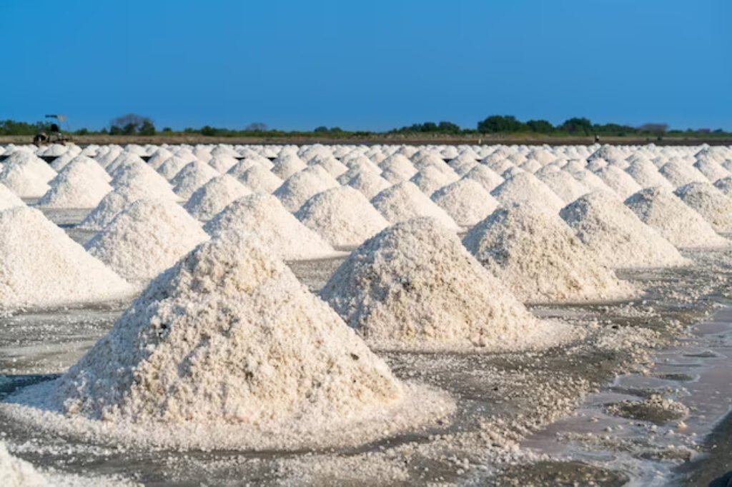 Pink Salt: Secret Ingredient For Exquisite Flavor And Health 4 Salt Salt Farm Ready Harvest Thailand 335224 1149 1 1