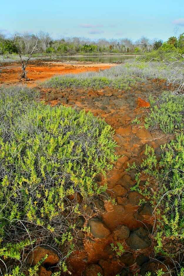 environment impact
