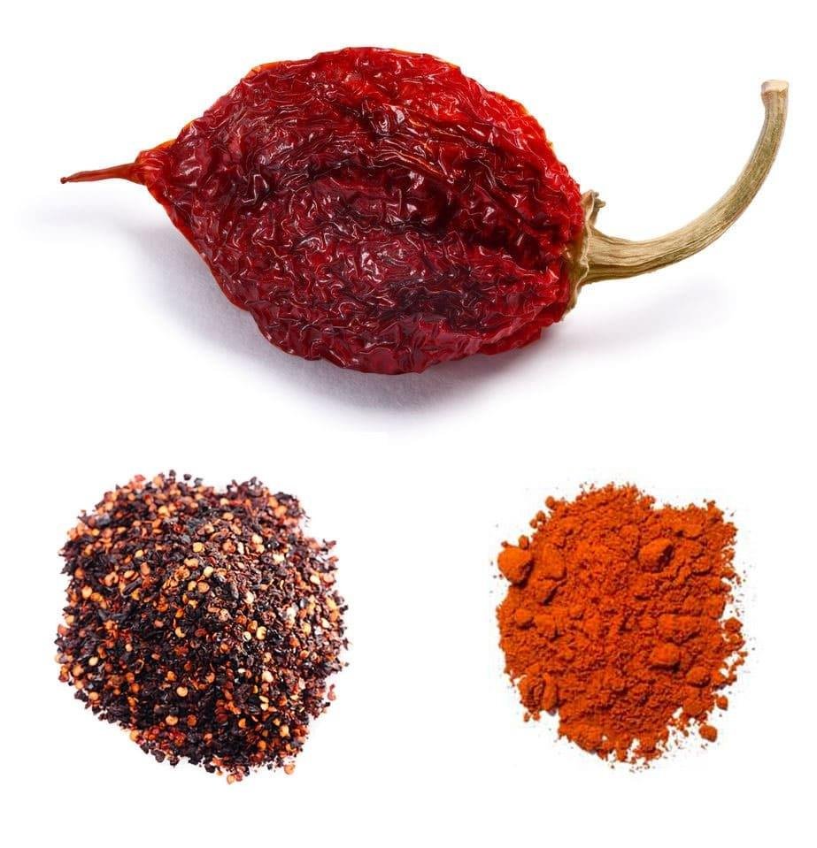 Dried Scotch Bonnet Peppers: The Bold Flavor Safari 4 Dried Scotch Bonnet Peppers