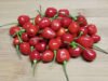 Mirchoo - True Spice Market 45 Wiri Wiri Pepper