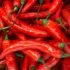 Unveiling The Best 10 Dried Red Chili Nutrition Facts!