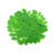 Moringa leaves