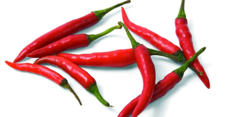 Discover the Magic of Kashmiri Lal Mirch: Your Ultimate Culinary Companion