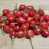 Unveiling The Best 10 Dried Red Chili Nutrition Facts!